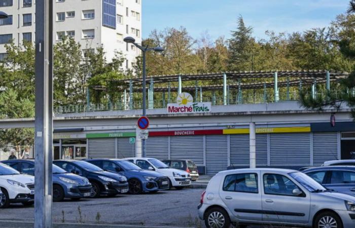 Metropolis of Lyon. A young man seriously injured by a gun at Minguettes in Vénissieux