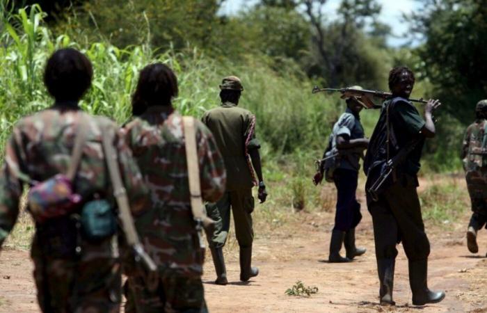 Former LRA commander sentenced to 40 years in prison in Uganda