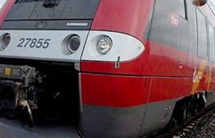 A train derails in Lozère following a landslide caused by the last Cévennes episode