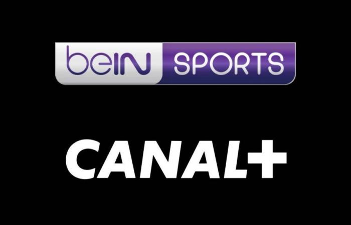 Canal+ hits hard with a sports offer, films, series and streaming platforms at reduced prices!