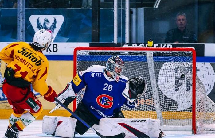 National League: Ajoie cools the LHC after an irrational match, Gottéron dives again!