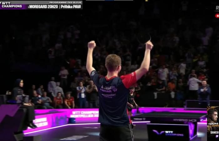 Table tennis | Alexis Lebrun offers France a Lebrunico