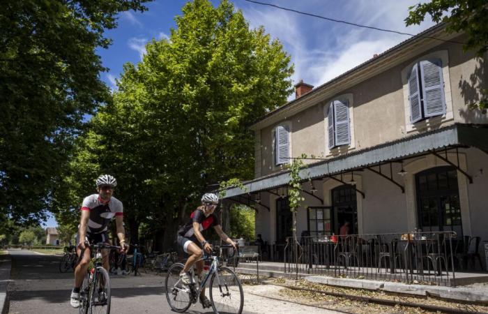 (videos) Cycling: the new tourist asset of Vaucluse