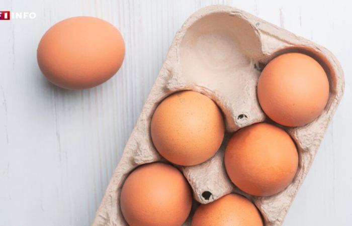 Mass recall of eggs for risk of salmonella contamination: criteria to know if you are concerned