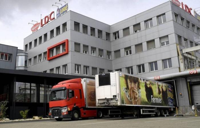 The Sarthe poultry giant LDC has just acquired the tabbouleh leader Pierre Martinet