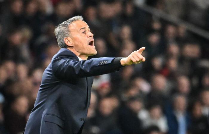 PSG – Luis Enrique: “An error” denounced live by Riolo