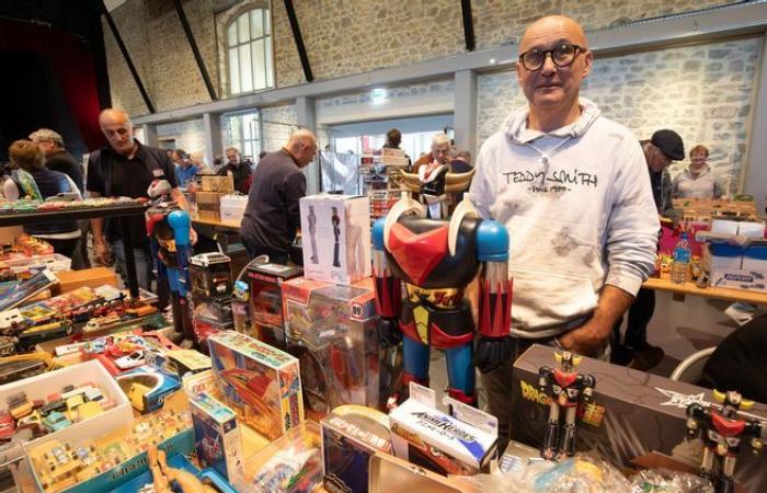 Collectors are banking on the “frankly cult” 1980s at the toy fair organized this Sunday in Haute-Vienne