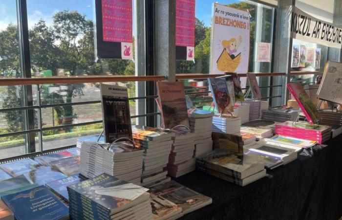 “We need to work on dissemination”: at the Brittany Book Festival in Carhaix, the Breton language is shown