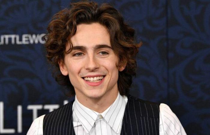 Timothée Chalamet invites himself to his own lookalike competition… without success