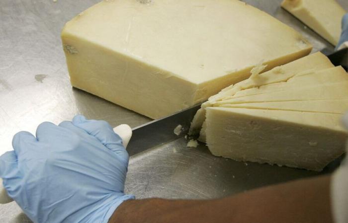 Scammer pretends to be French cheesemaker and steals 22 tonnes of cheddar from London cheese shop