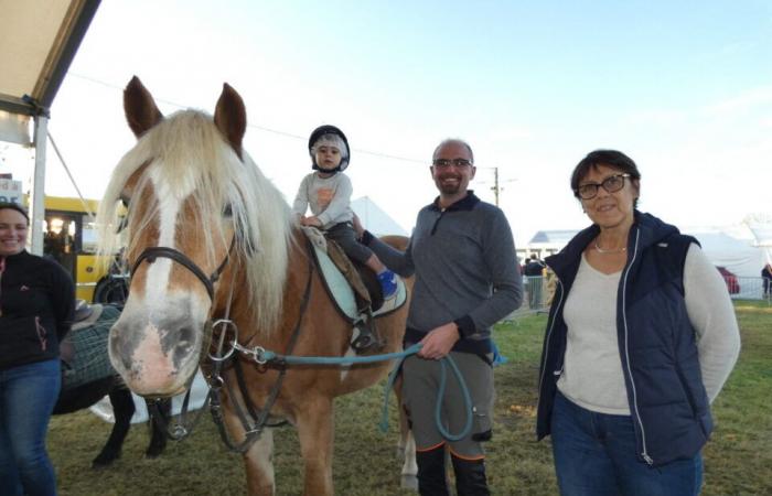 PHOTOS. In Calvados, the thousand-year-old Etouvy fair attracted thousands of visitors