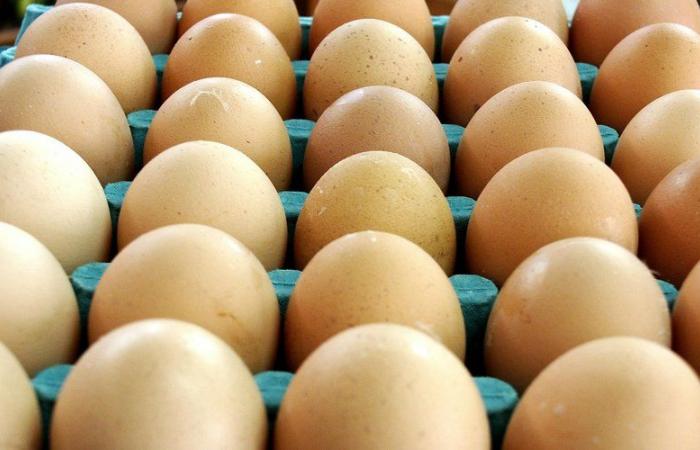 More than 2.8 million eggs, possibly contaminated with salmonella, recalled throughout France