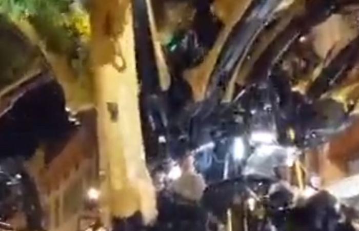 VIDEO. Machines Show in Toulouse: when the spider Ariane gets its legs caught in a tree and causes a branch to fall on the audience