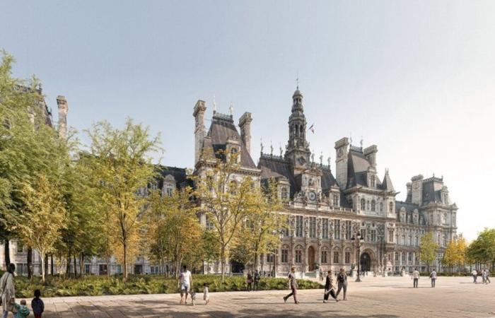 Urban forest on the square in front of Paris town hall: what to really expect?