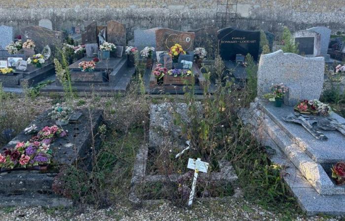 “We do with the means we have”: the maintenance of cemeteries, a headache for small Marnese communities on All Saints’ Day