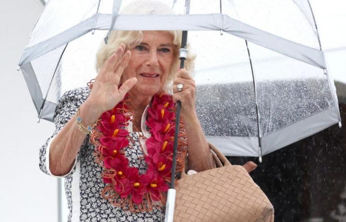 Camilla doesn’t have a smartphone and her son makes fun of it: “To find out where she is, I turn on the TV”