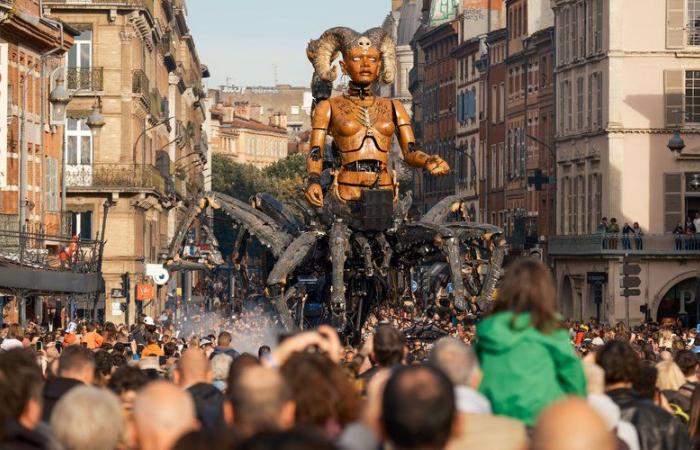 La Machine show in Toulouse: jostling, broken tree branch, spectators deprived of the show… when the event is a victim of its success