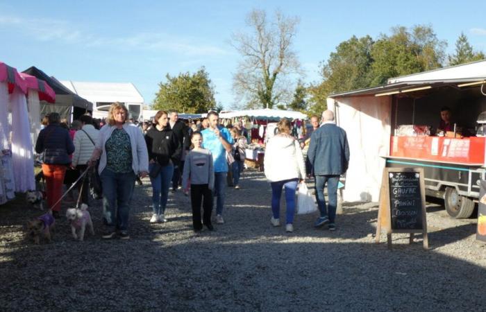 PHOTOS. In Calvados, the thousand-year-old Etouvy fair attracted thousands of visitors