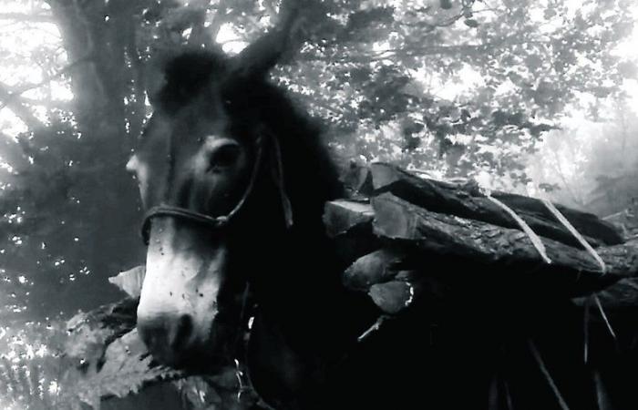 “On the Ridge”, a filmed adventure by Clément Herbert presented in Dun