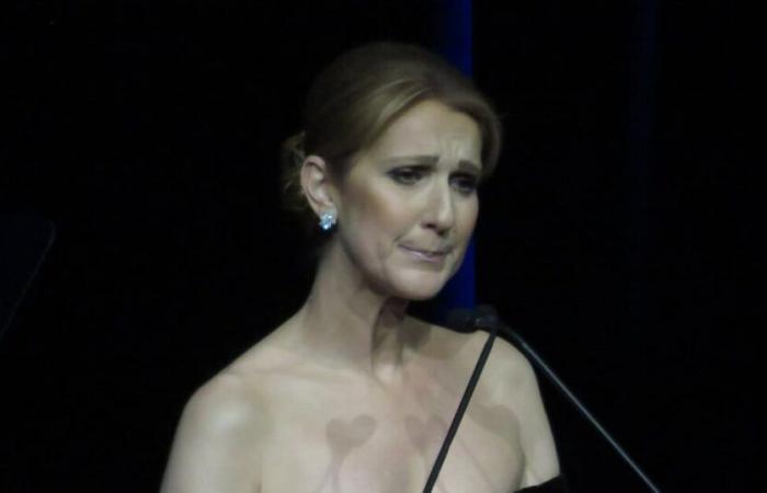 Celine Dion moved and comforted by her son in the middle of a concert, the public cannot believe it