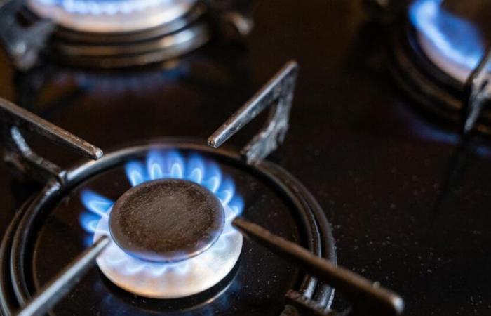 Gas stoves are linked to 40,000 premature deaths per year in Europe