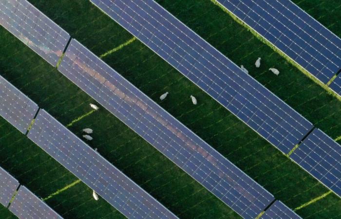 The Artix photovoltaic field project will include more than 18,00 panels