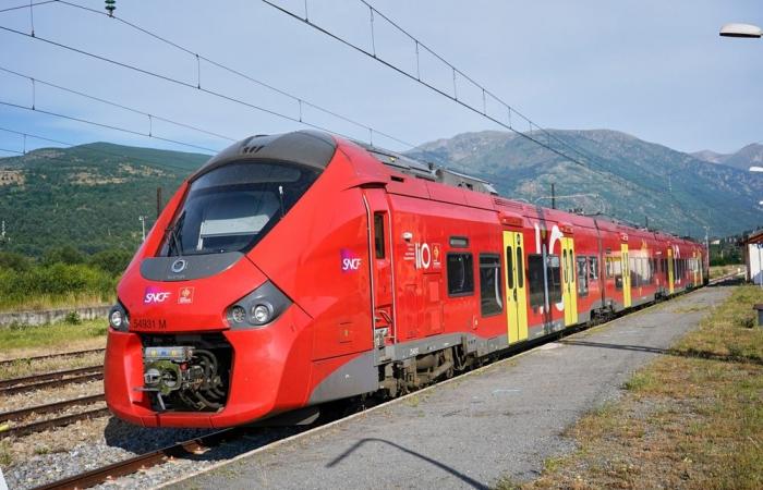 Train traffic between Gard and Lozère at a standstill until Thursday