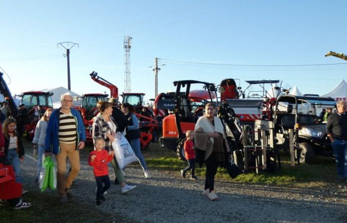 PHOTOS. In Calvados, the thousand-year-old Etouvy fair attracted thousands of visitors