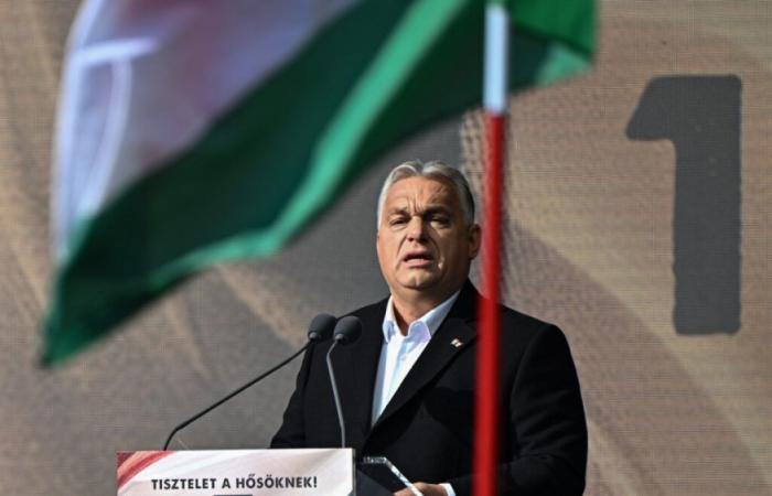 Relations with Russia, immigration, fines: Hungary launches a consultation to show the population’s support for Viktor Orban’s policies – 10/28/2024 at 1:36 p.m.