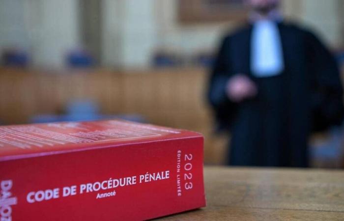 Eighteen months suspended for having assaulted their pregnant neighbor in Loire-Atlantique