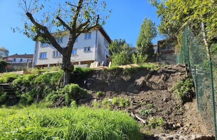 Work on the future care center for mammals in Haute-Vienne interrupted by bad weather