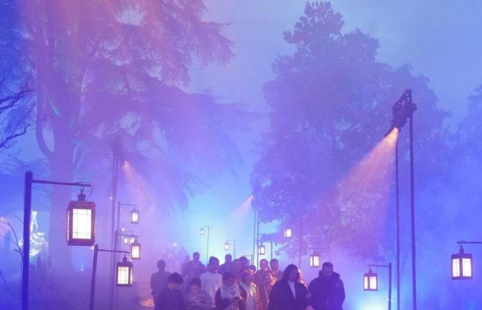 et-Garonne – Harry Potter: The Forbidden Forest experience takes place at the Jardin des Plantes de Montauban