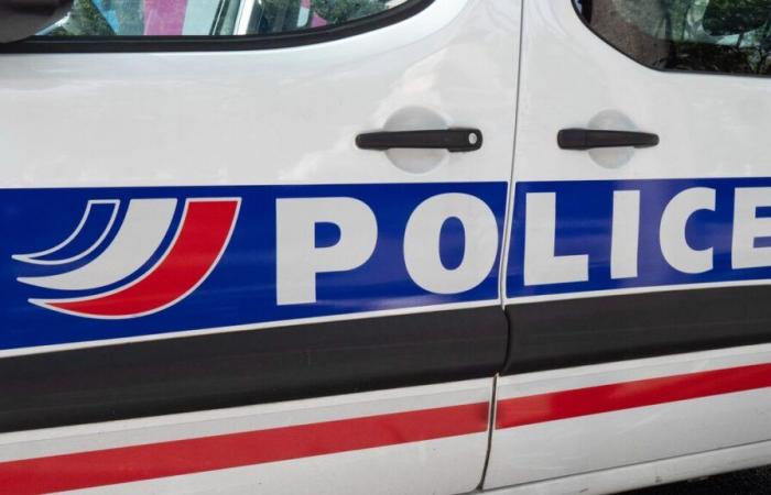 Rouen: filmed, nightclub bouncer fired after throwing a concrete block at a dog