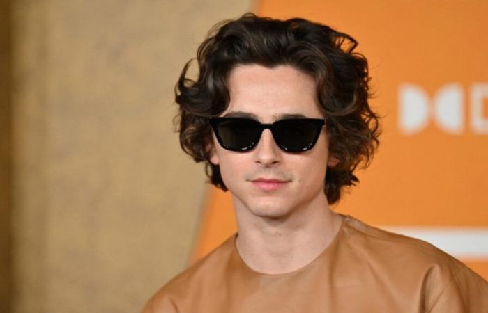 Timothée Chalamet invites himself to his own lookalike competition in New York… and loses