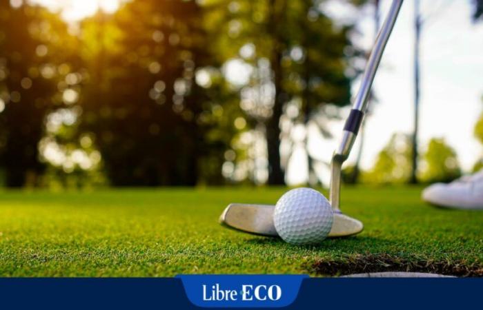 A Brussels administration in turmoil: its director played golf during office hours