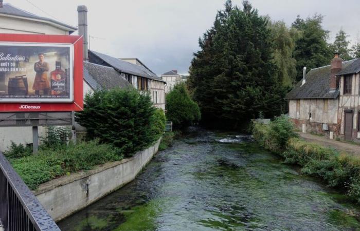 Seine-Maritime: Maromme pinned by the Ugly France Prize 2024