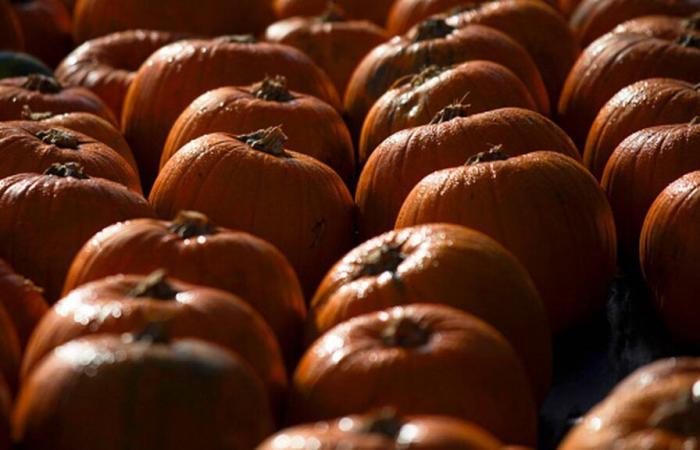 Rain could dampen Halloween festivities – WHIO TV 7 and WHIO Radio