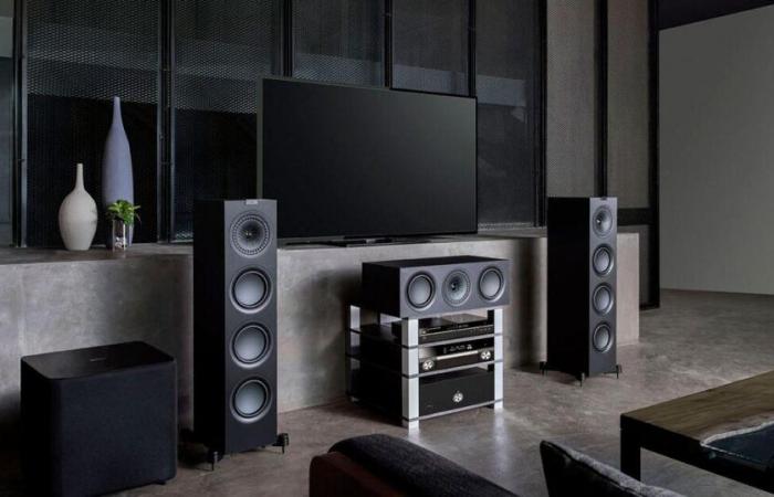 this floor-standing speaker is the favorite of audiophiles thanks to its excellent quality/price ratio