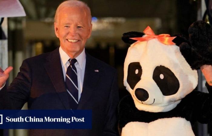 Jill Biden dresses as a giant panda for final White House Halloween