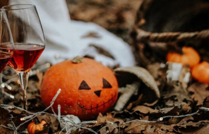 What wine to drink with pumpkin?