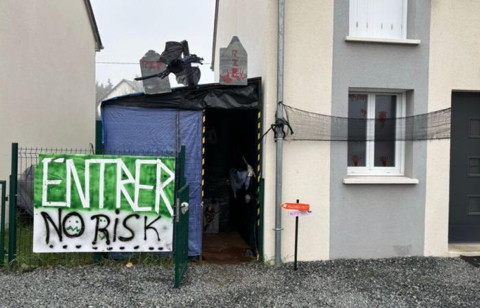 Montlouis-sur-Loire: he opens a “haunted tunnel” in his garden to the public for Halloween