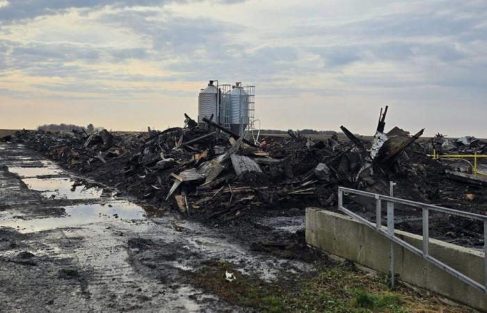 A fire destroys two henhouses in Montérégie