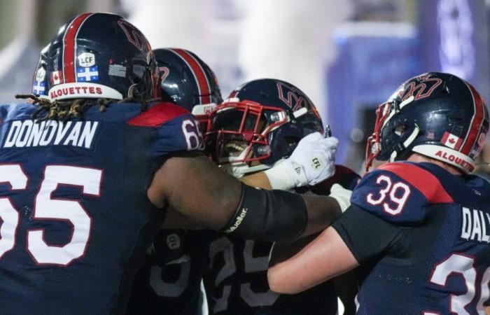 Column by Matthieu Proulx: regular season review of the Alouettes before the playoffs (LCF)