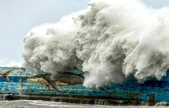 Powerful typhoon Kong-rey hits Taiwan