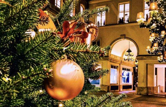 Christmas 2024: where to buy your Christmas tree in Paris and Île-de-France?