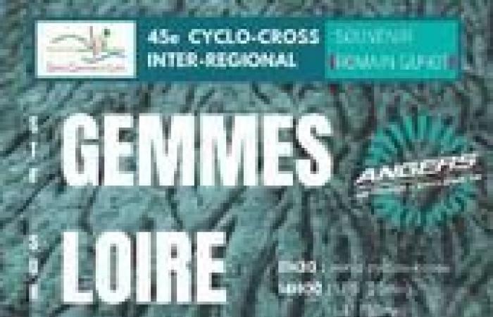 Beaumont sur Sarthe November 1, 2024 cyclo-cross entrants