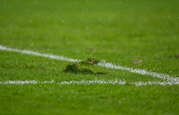 The cars of two football educators, in U11, burned the same night near Toulouse