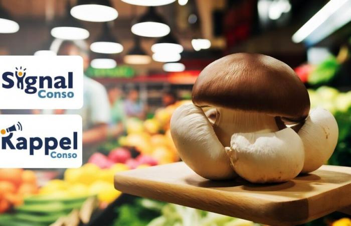 these mushrooms sold throughout France present risks to the health of consumers