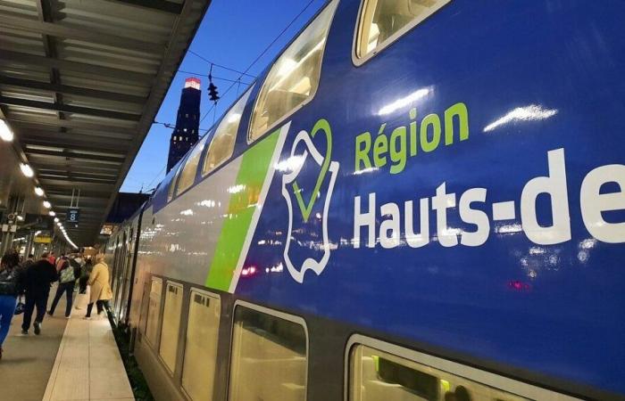 A 70-year-old man dies after being hit by a train in Gratibus, in the east of the Somme