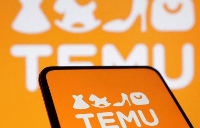 Brussels opens investigation against Temu, suspected of not acting against the sale of illegal products